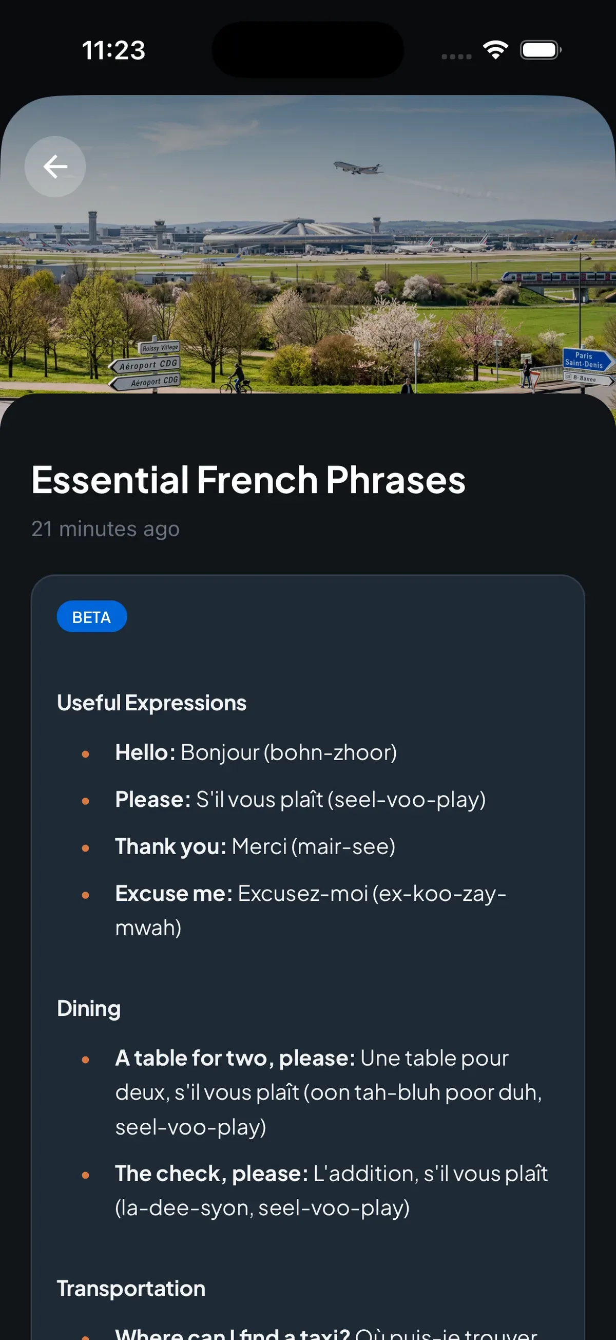 Trip7 concierge showing essential French phrases with pronunciations for dining and transportation